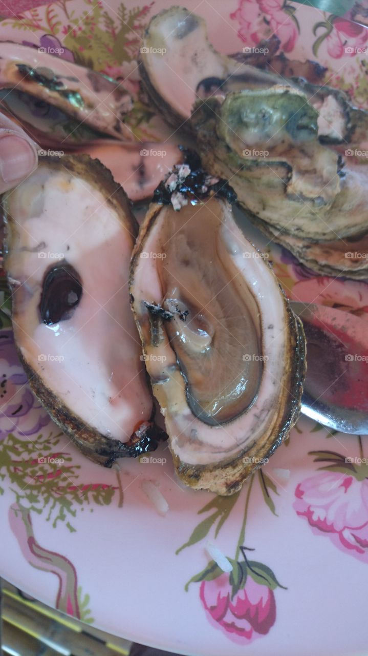 Oysters