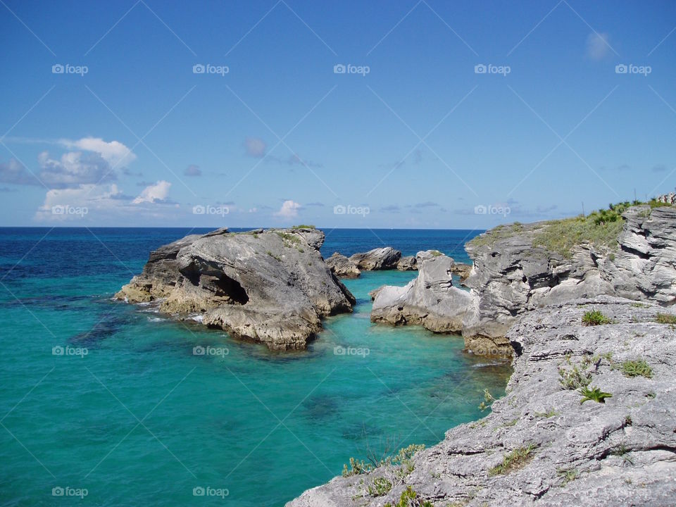 Bermuda's Coral Cliffs