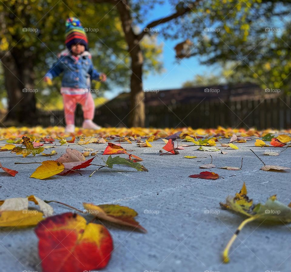 Child walking through leaves, baby perspective on life, from the ground up perspective 