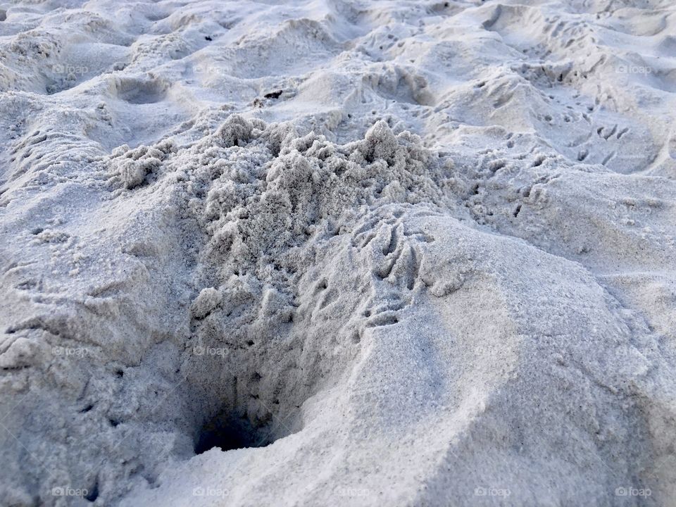 Closeup of ghost crab tracks leaving nest at dawn 