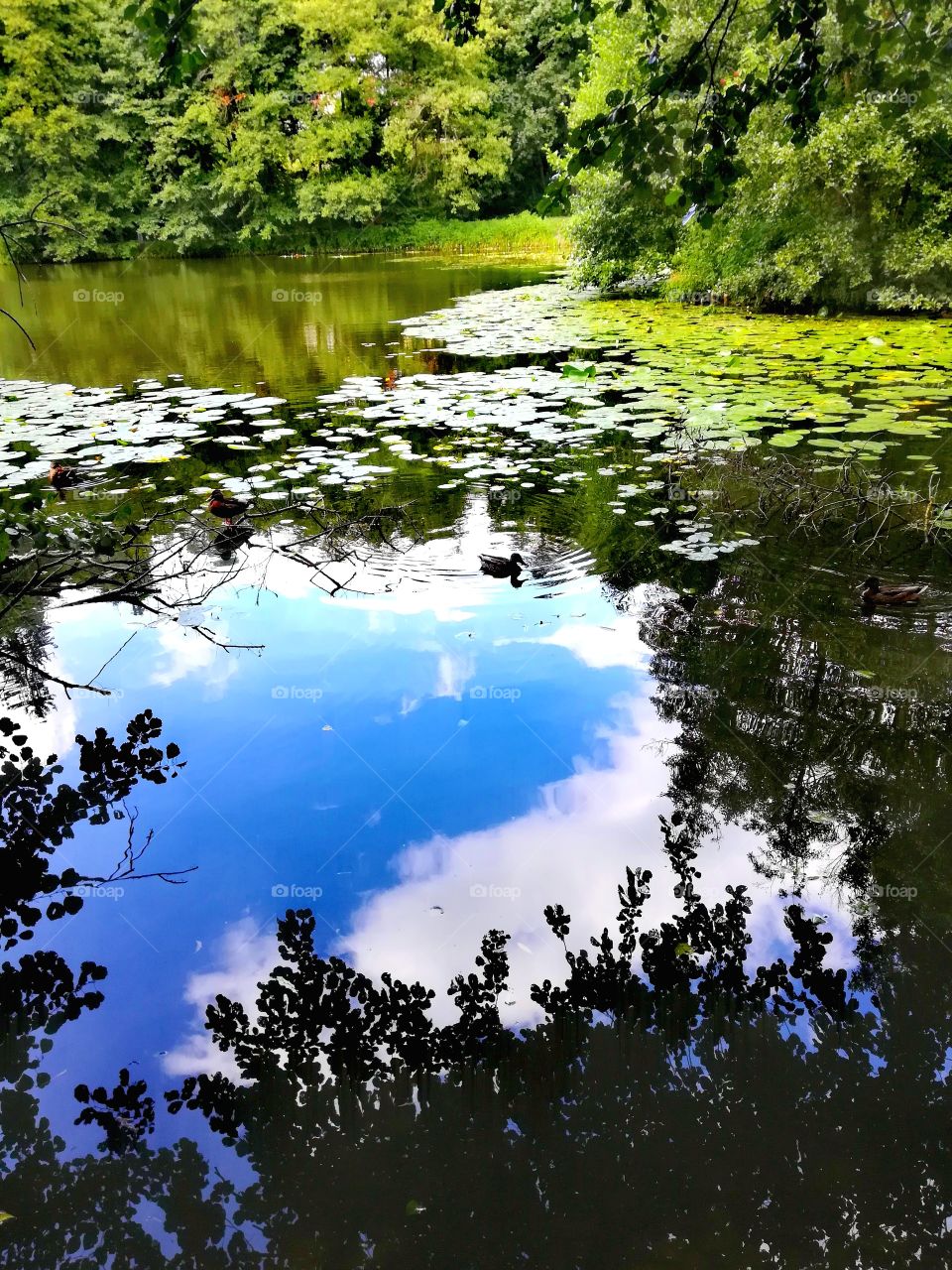 Cloud in water