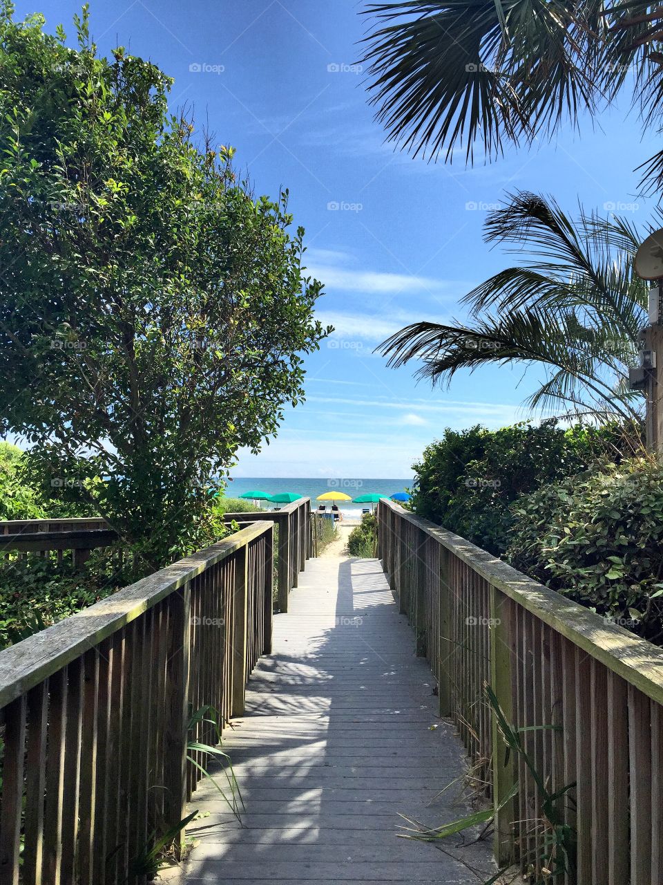 Walkway to the beach. 