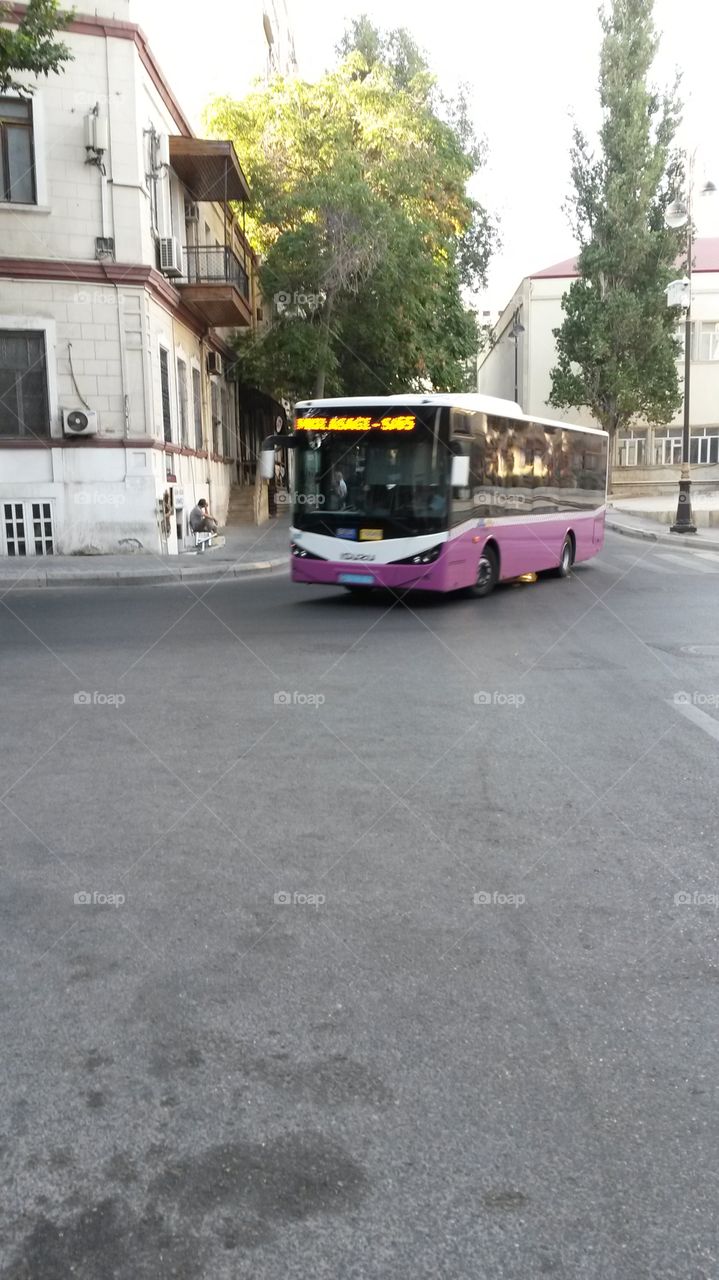 bus
