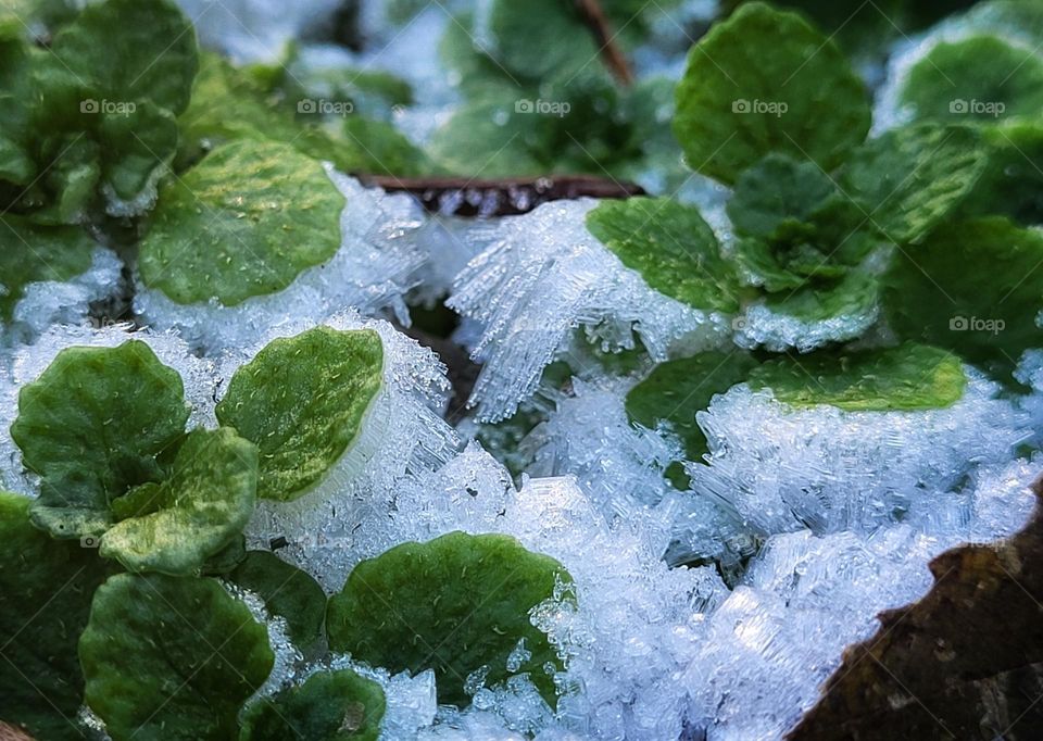 As if a river ...miracles of frost