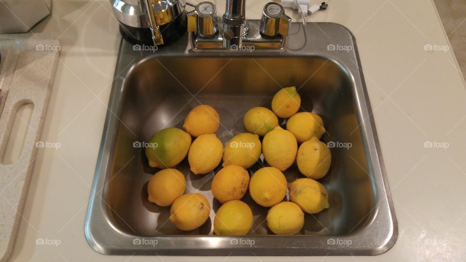 lemons in sink