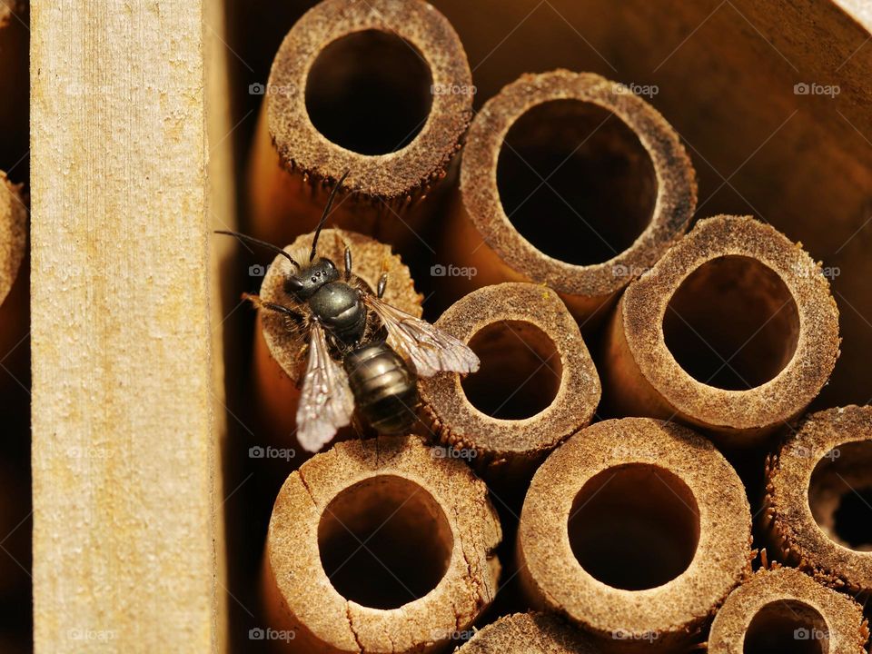 Insect hotel