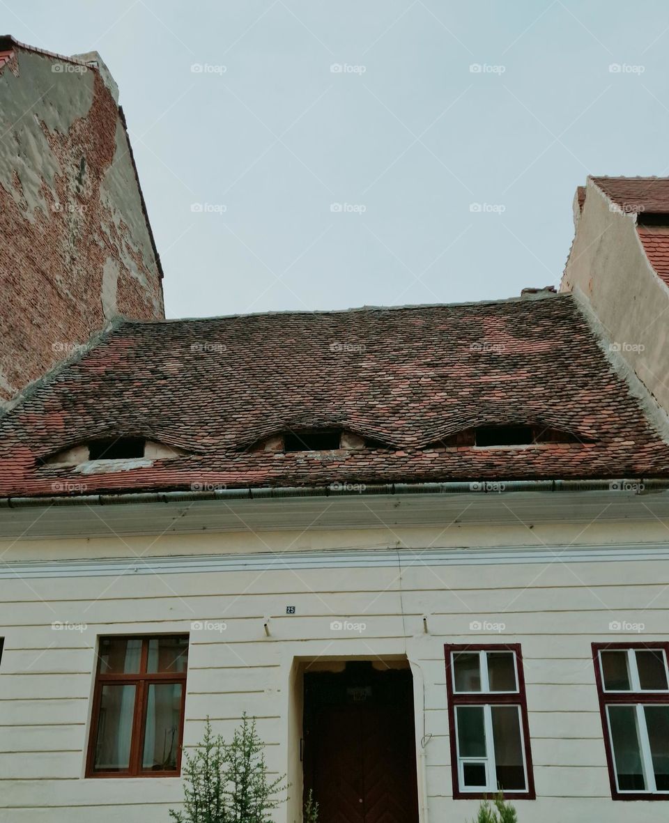 roof with eyes