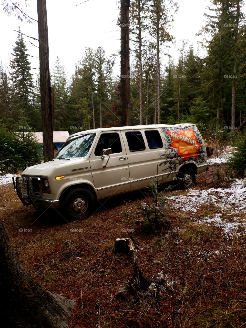 van damaged by tree falling on it