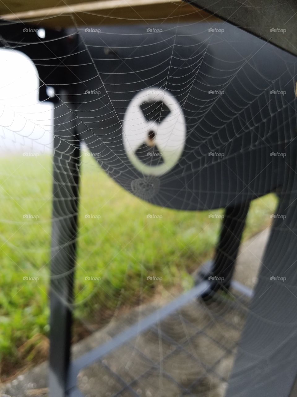 web on grill