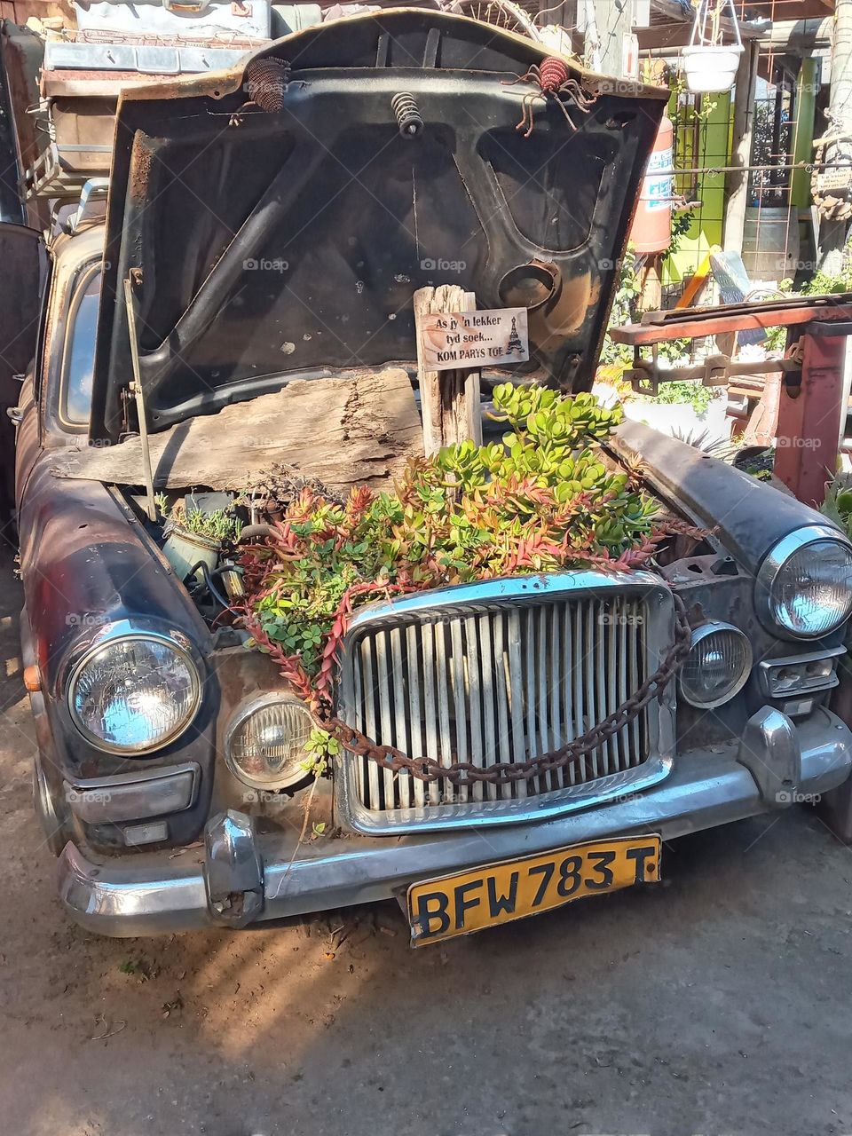 What's that doing here?