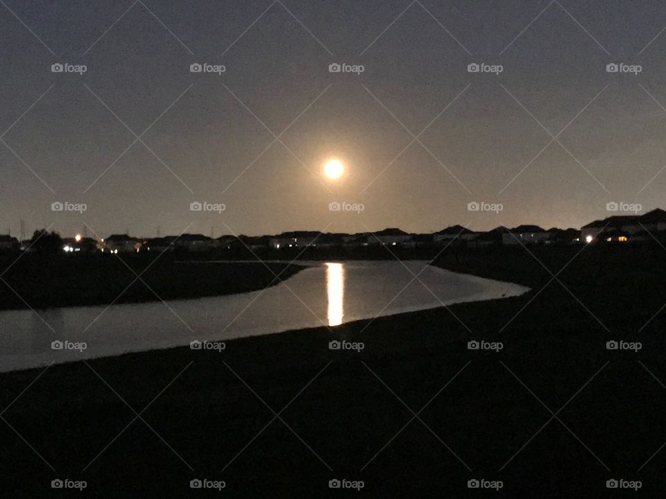 My backyard moonlight views