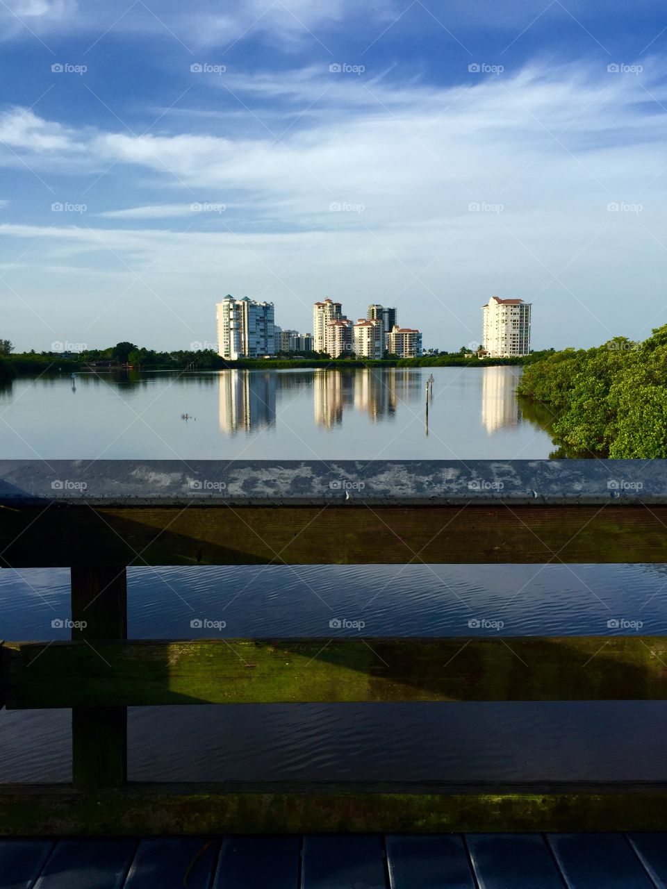 Bridge in the Everglades 