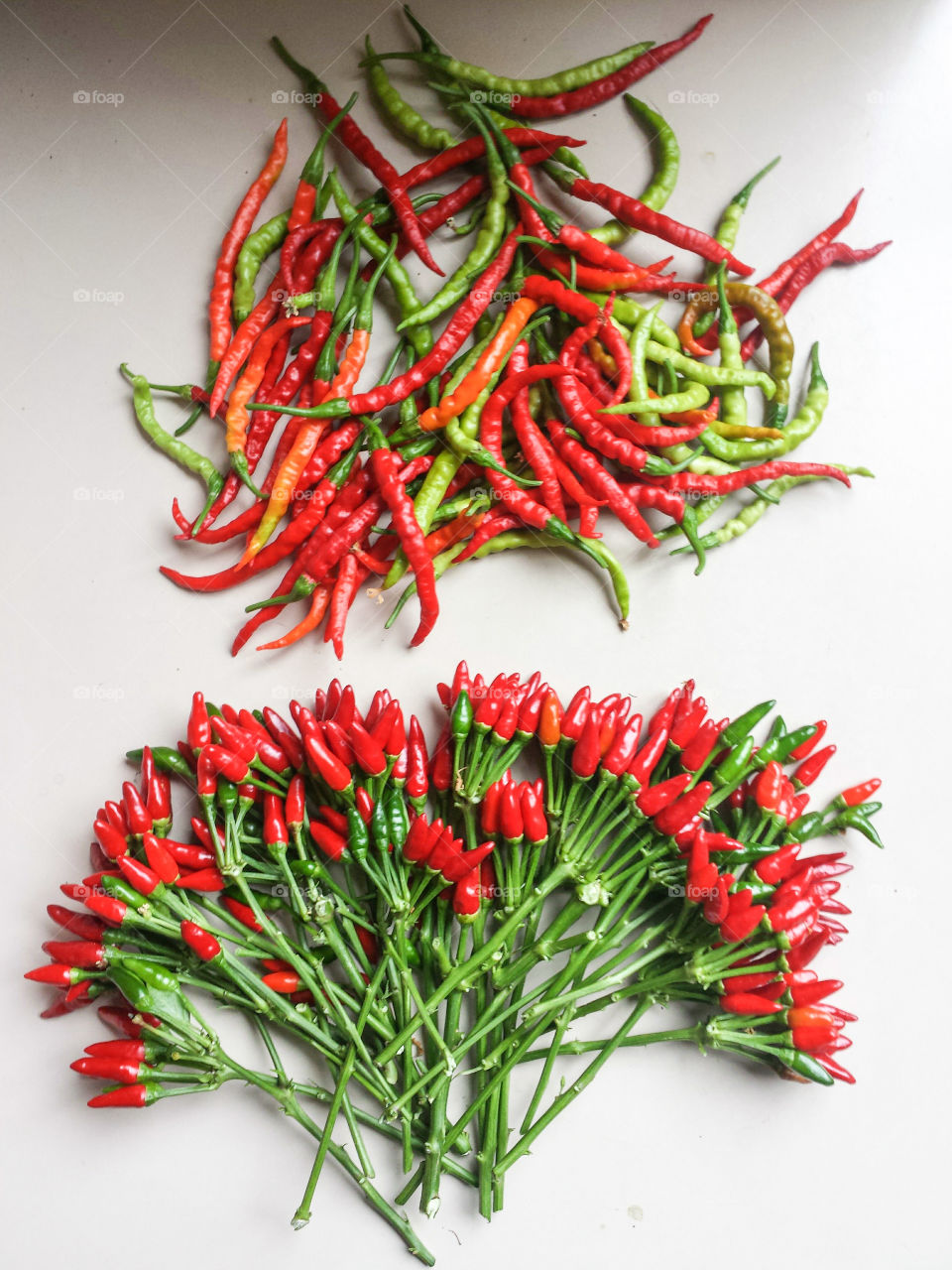 Close-up of red chillis