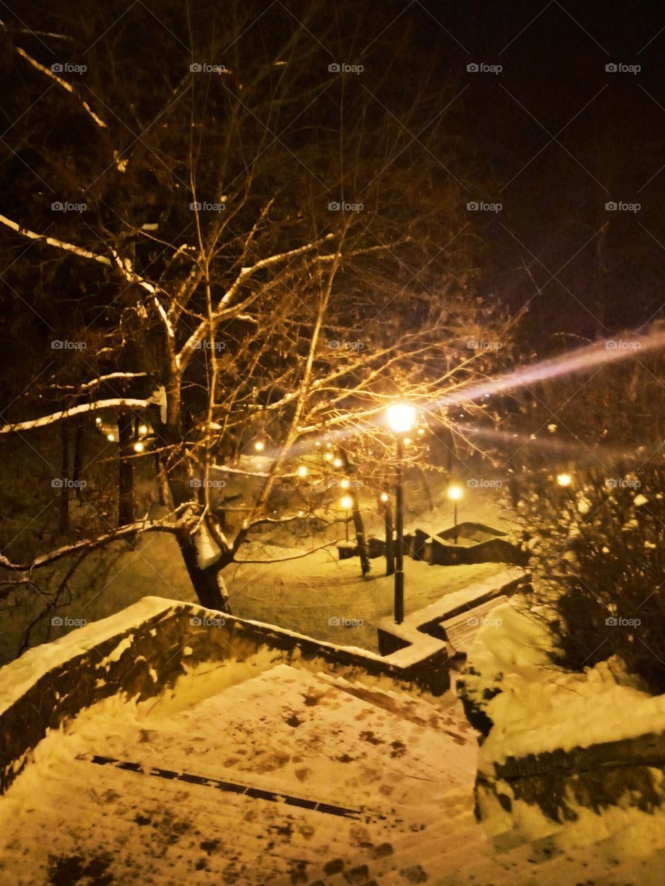 City park in winter