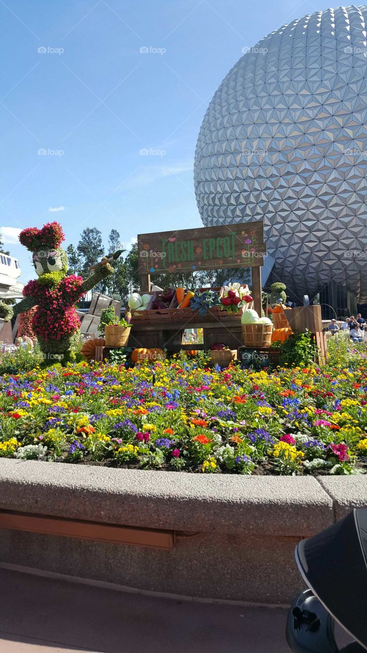 epcot flowers