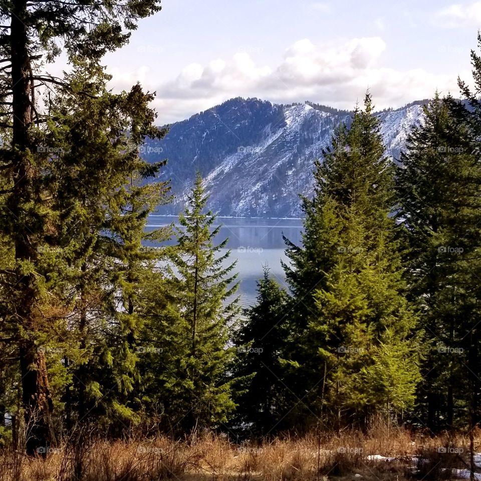 view of green trees, lake and mountain ridge