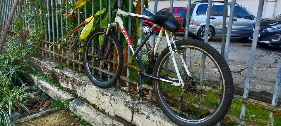 Bicicleta no Porto