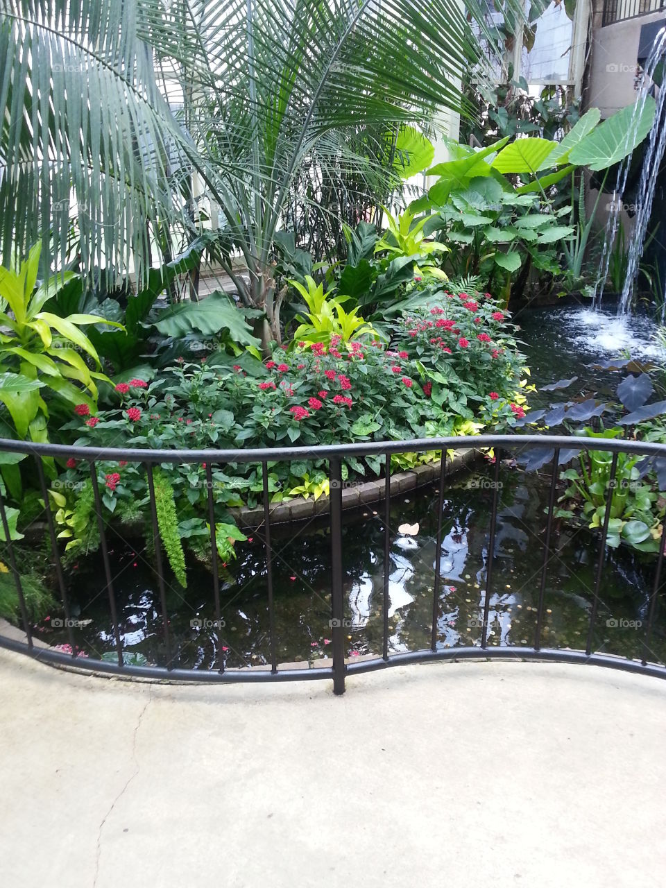 Garden Pool