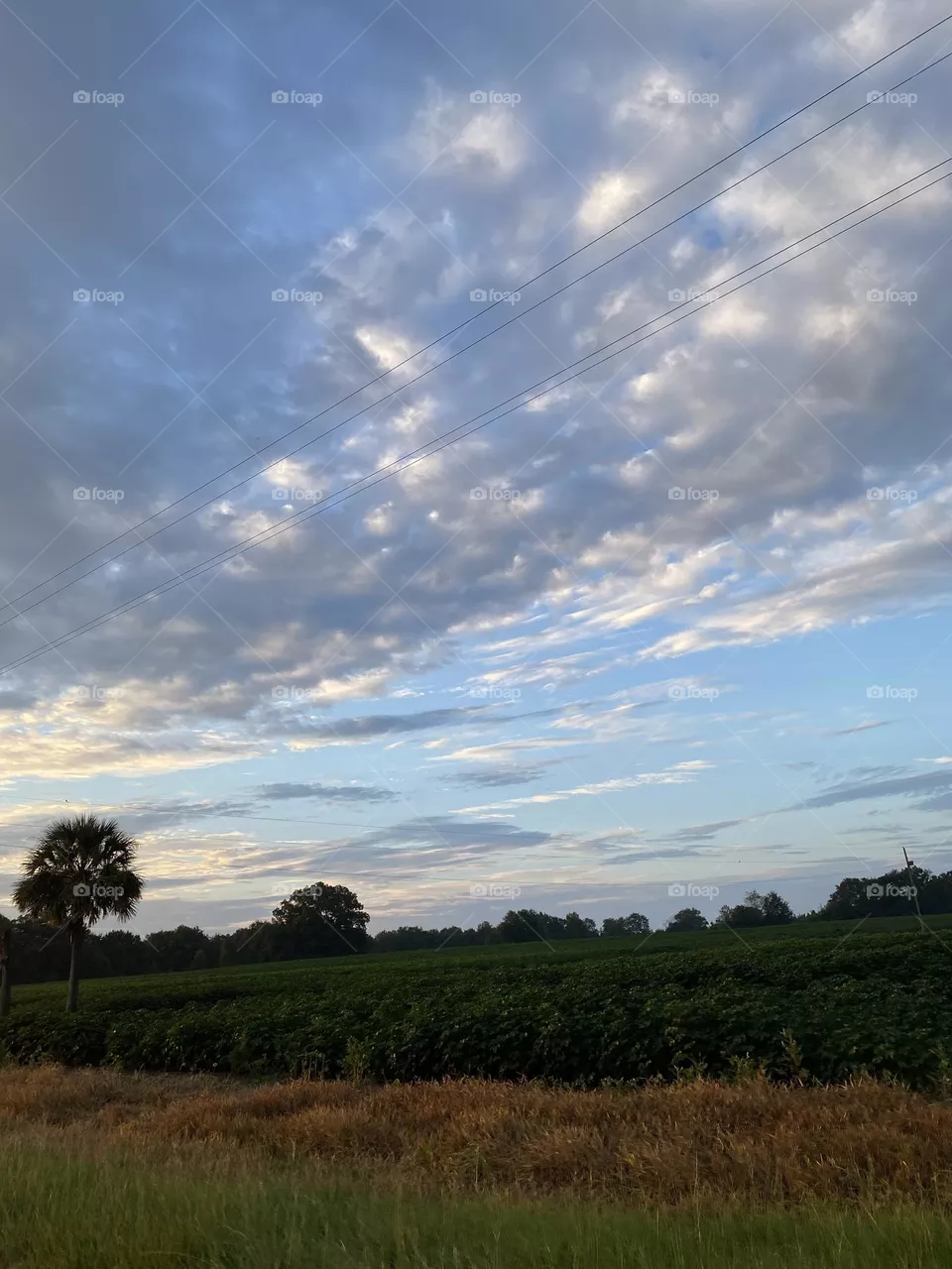 Morning sky 