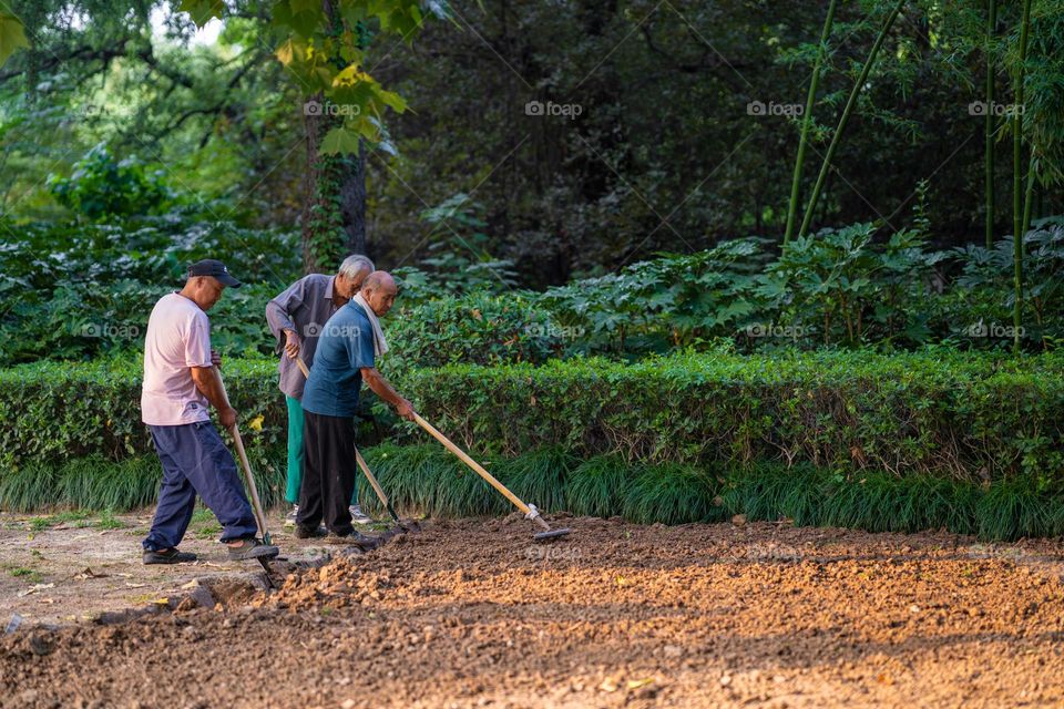 The gardeners are preparing the land for plants.