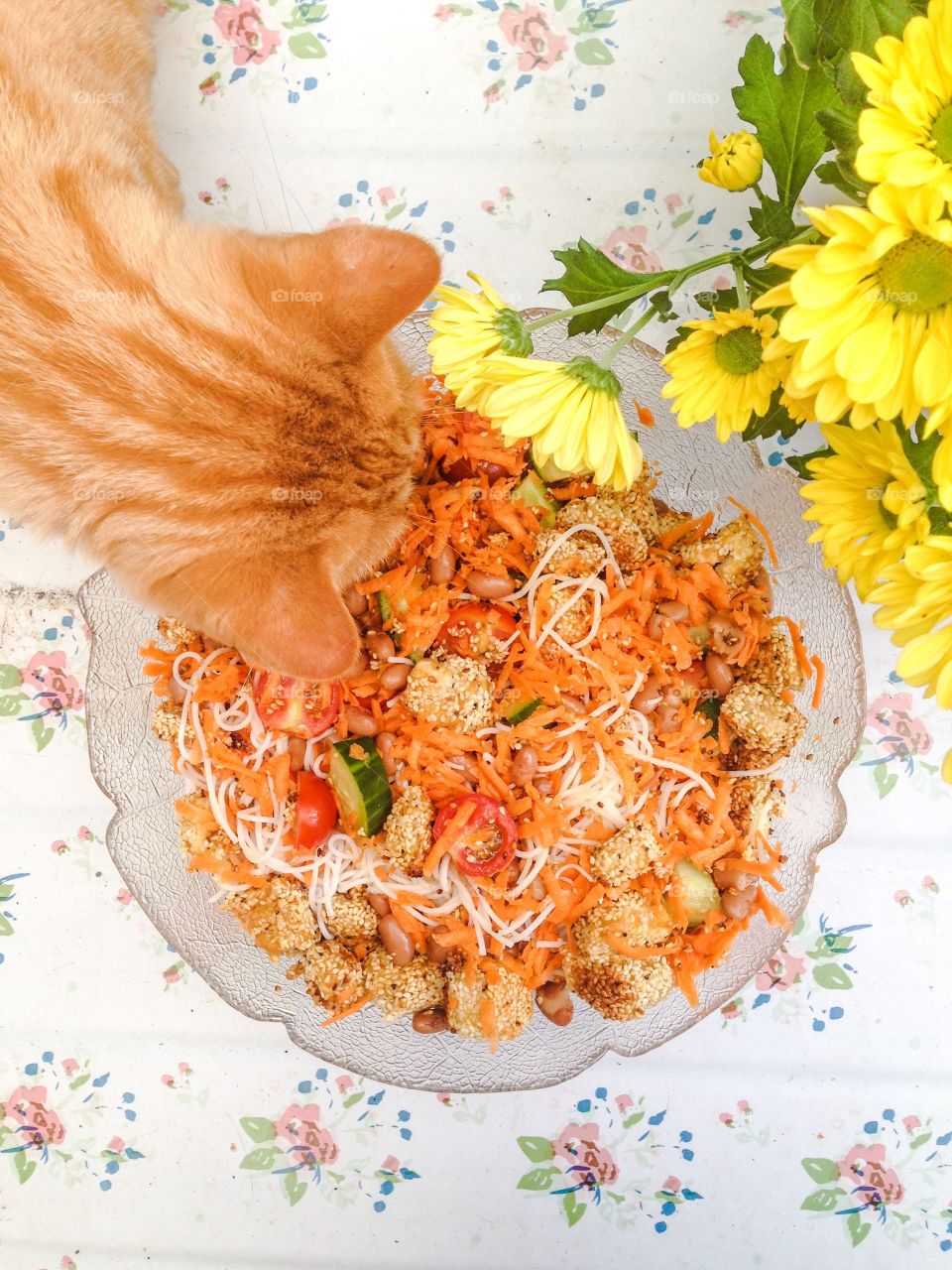 noodle salad with tofu