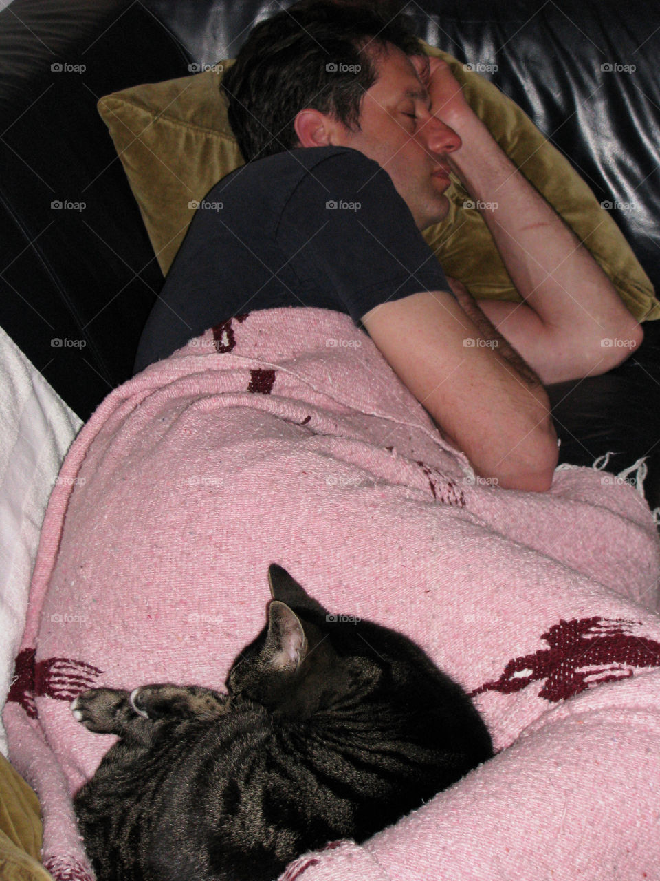 Cat sleeps on top of guy