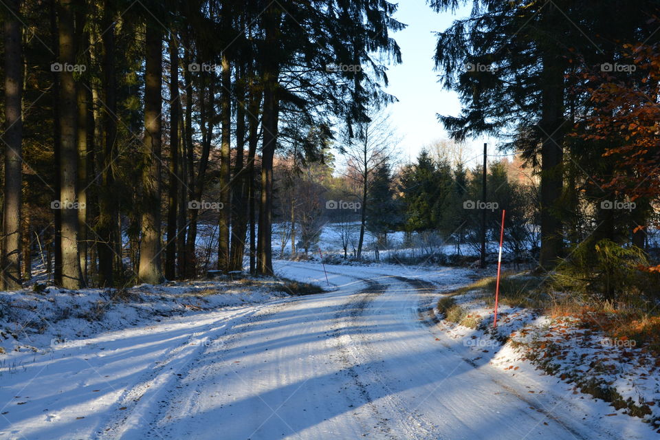Snowy road during winter