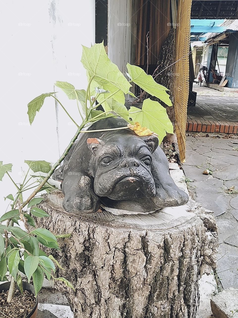 Sculpture statue art - dog