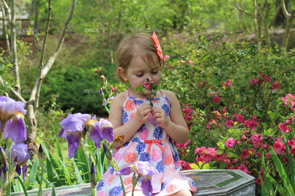 Child smelling a flower. Backyard in full bloom