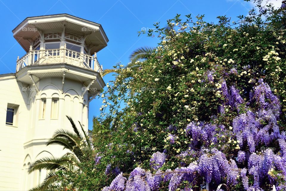 İstanbul island s house