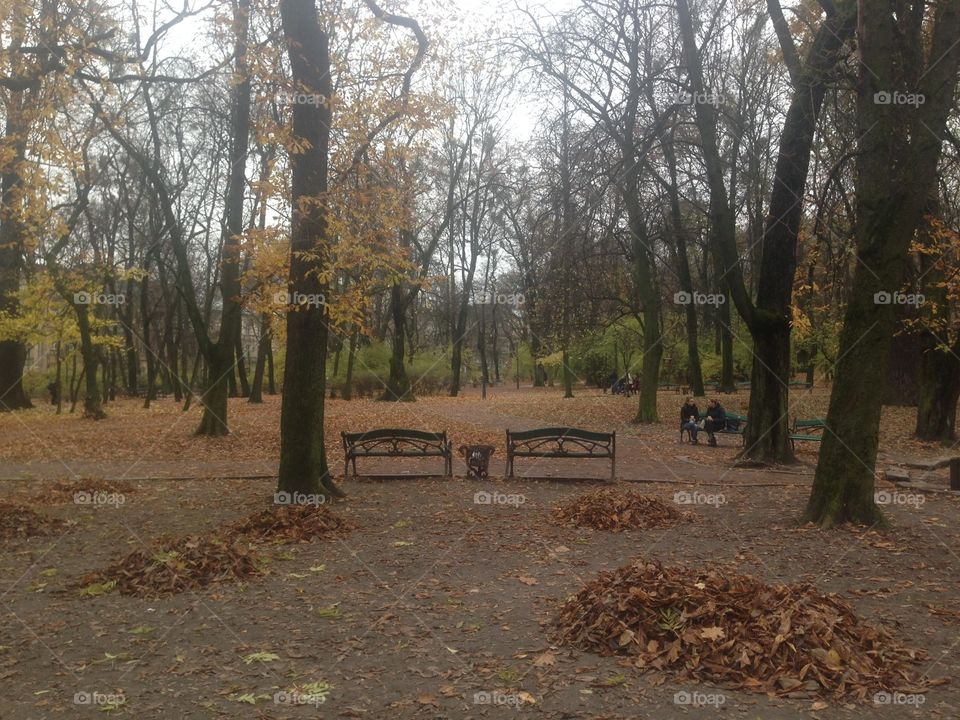 Empty love in Lviv garden