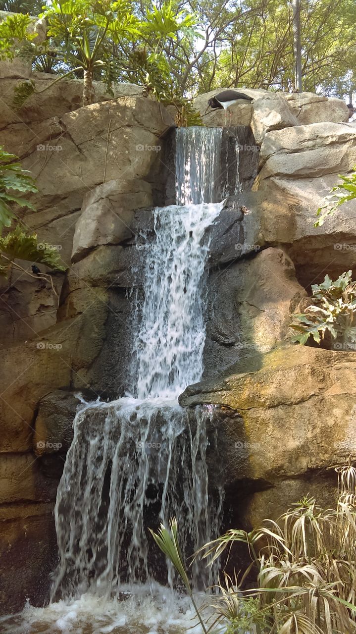 waterfall feature