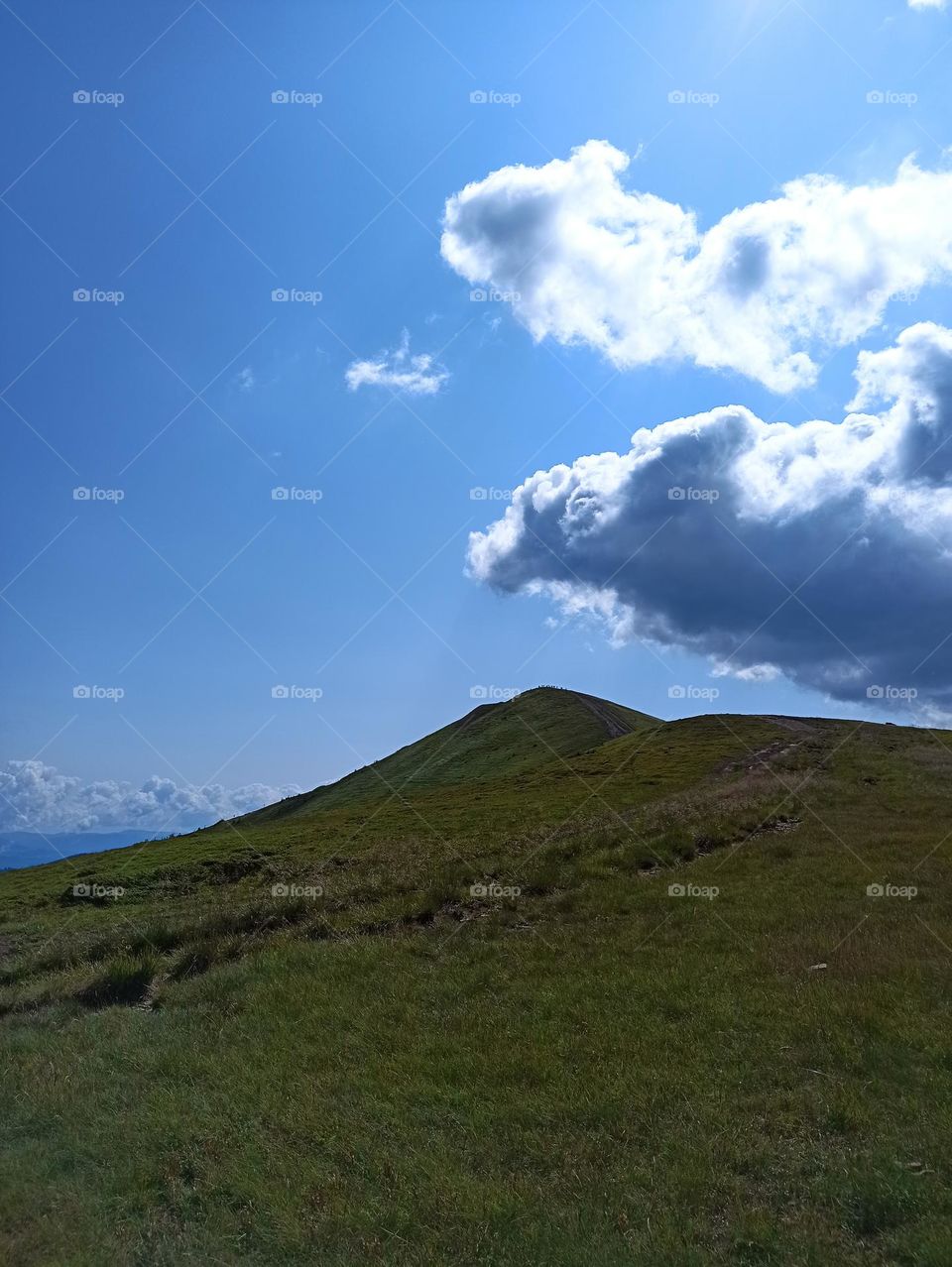 Your favourite travel destination
My beloved Carpathians. Green flower meadows. Cows with bells around their necks. Unforgettable trip across Ukraine. Mountains Dragobrat. Magnificent nature.