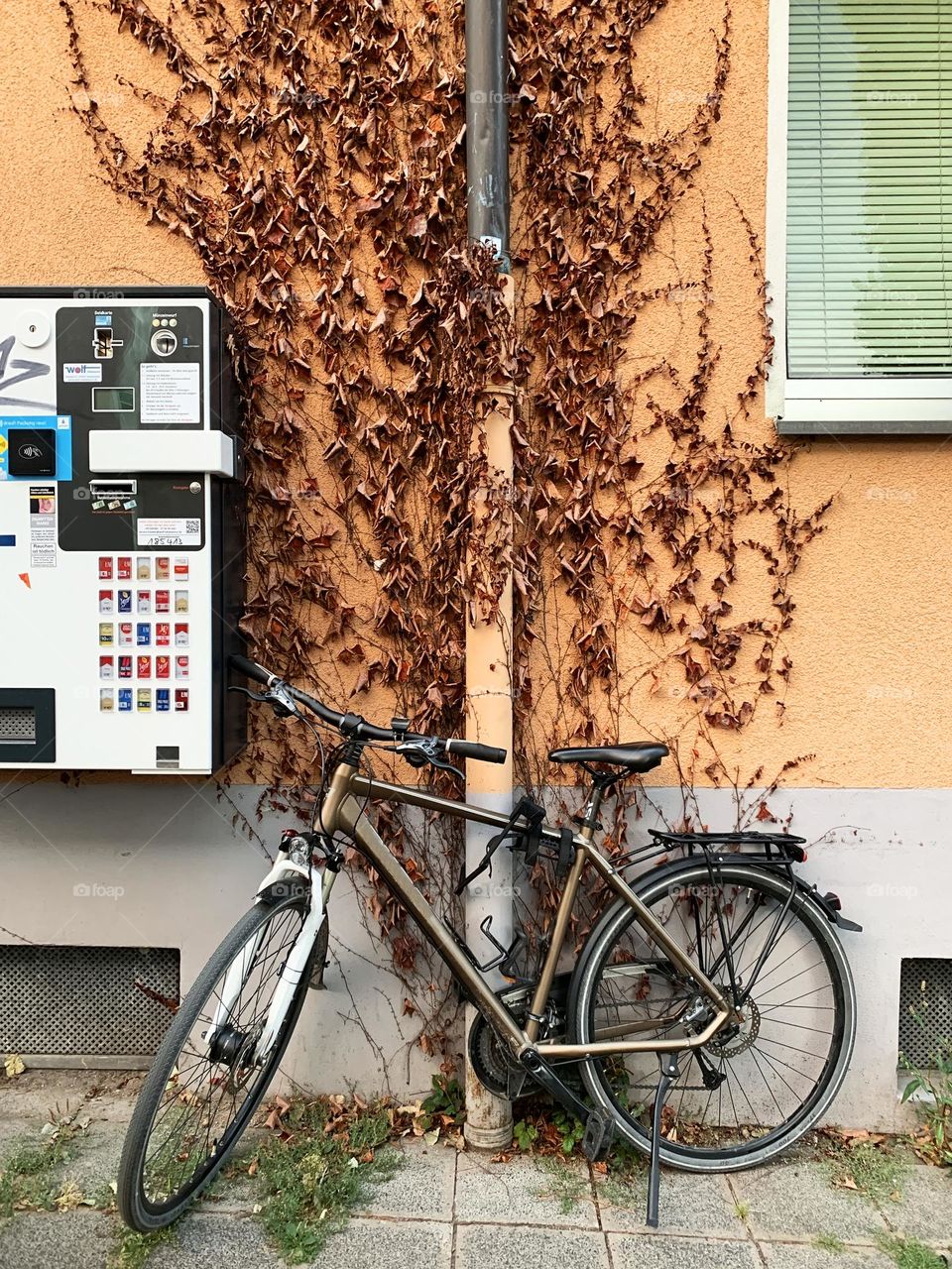 Bicycle riding in autumn 