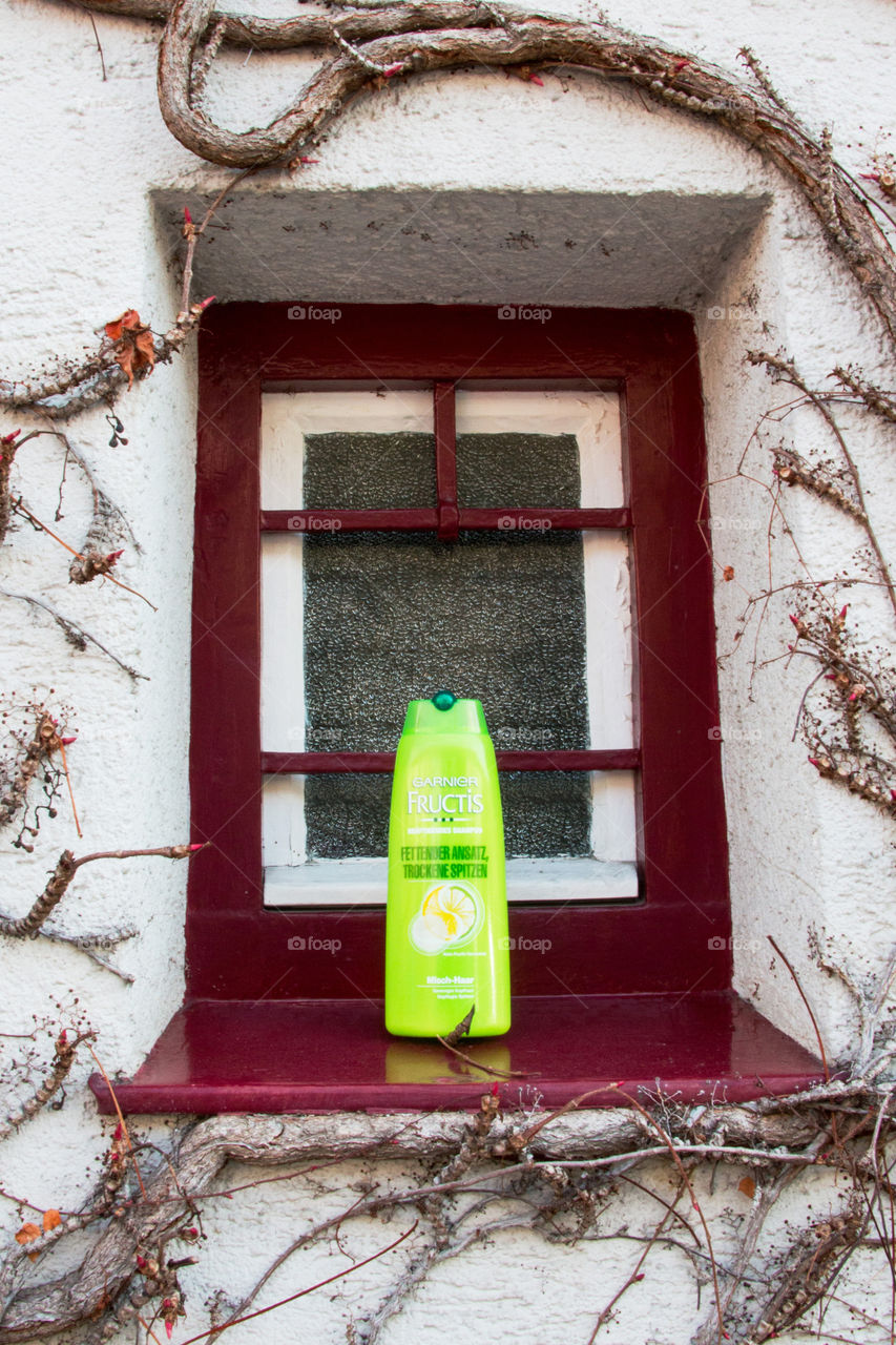 A window into Garnier 