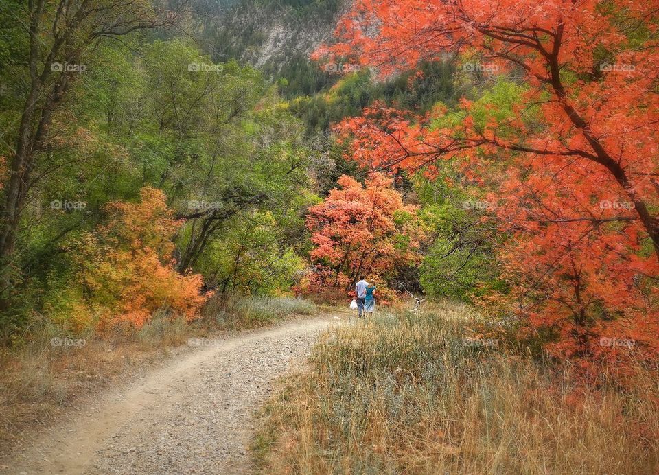 Colorful walk. 