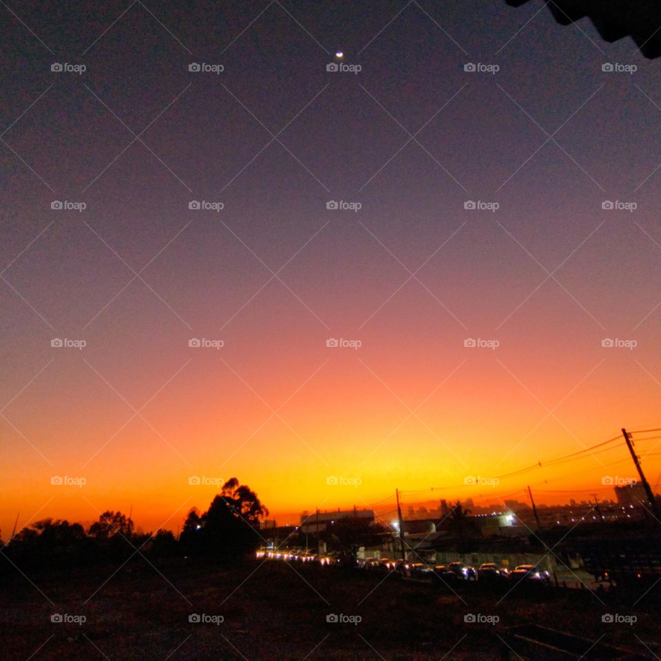 dusk in the moonlight