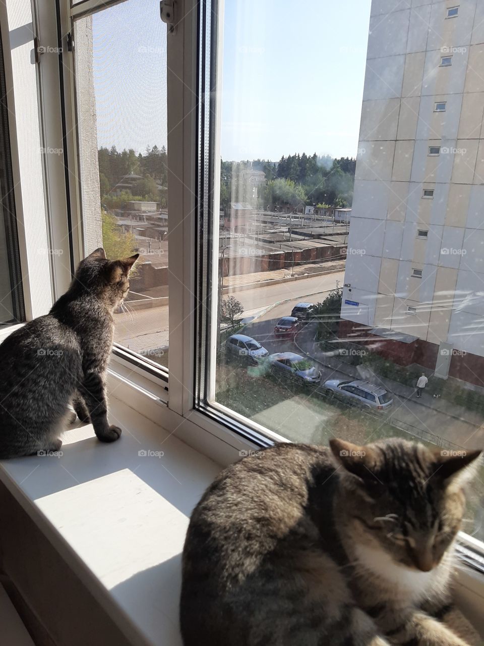 А,  я   на   улицу   хочу.!