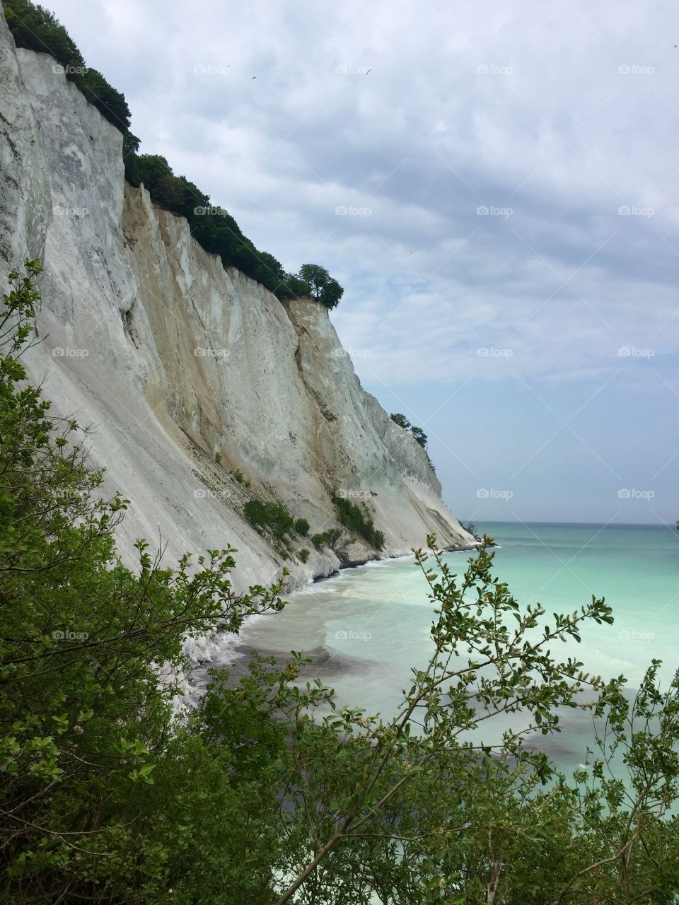 Møns klint