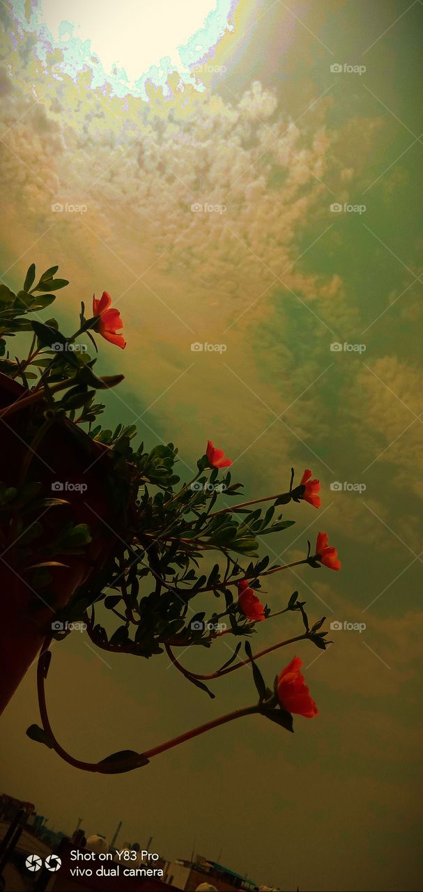 #today #love #instagram #instagood #like #follow #photography #life #photooftheday #me #happy #picoftheday #beautiful #instadaily #nature #fashion #photo #art #likeforlikes #smile #motivation #myself #now #style #day #selfie #music #insta #l #bhfyp