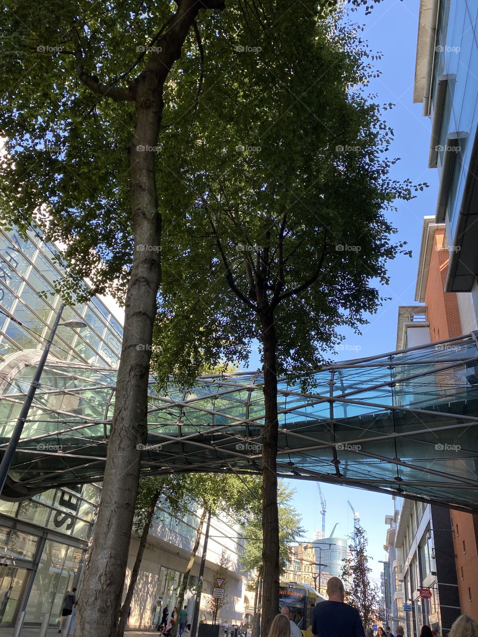 for a walk. I found this.