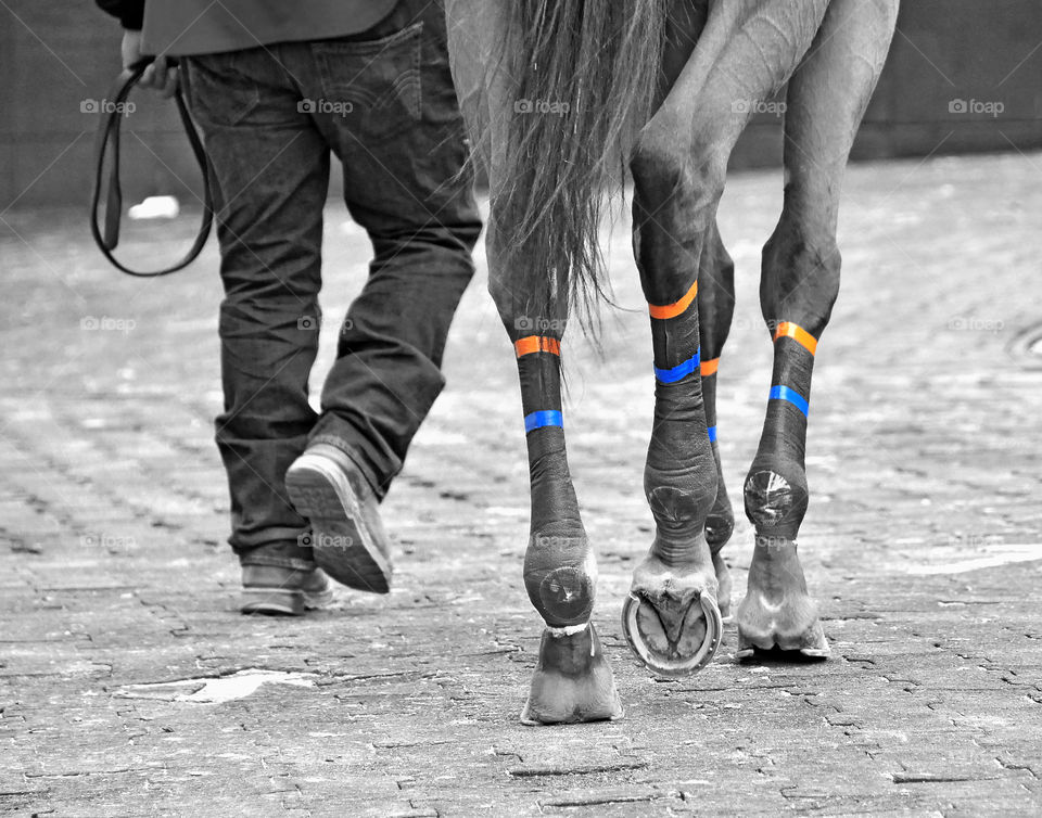 Drawing Away 
Black and white photo of Howaboutwe and his groom walking towards the track.