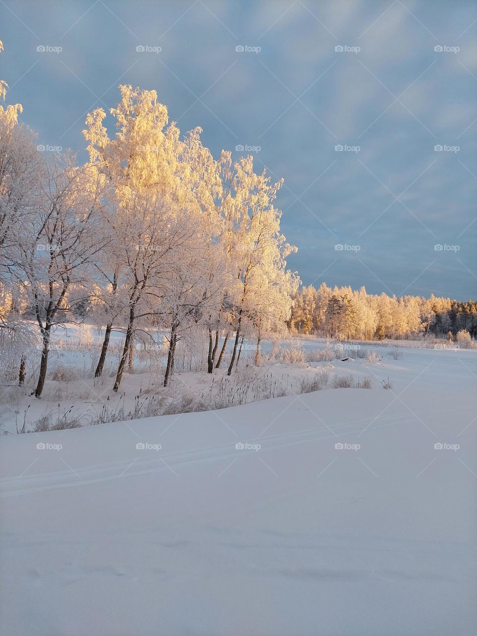 Cold winter in Finland