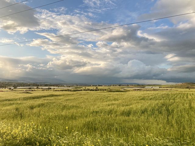 The perfect spring in Jordan