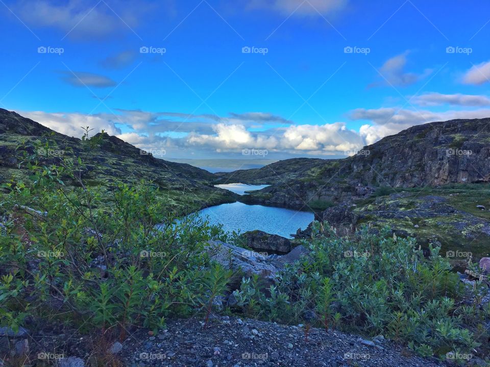 Tundra landscape 