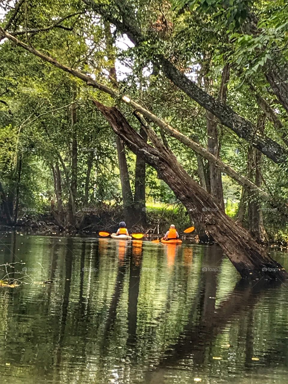 Kayaking with friends in a beautiful river