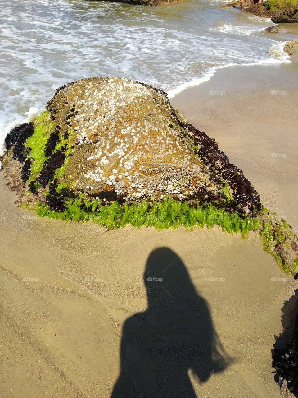 silhouette in the beach.💦💦
