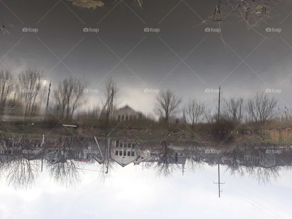 Winter, Landscape, Weather, Tree, Reflection