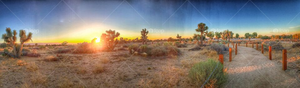 Beauty in the Desert. I decided to take a random walk in a park 20 minutes from where I live and found this 