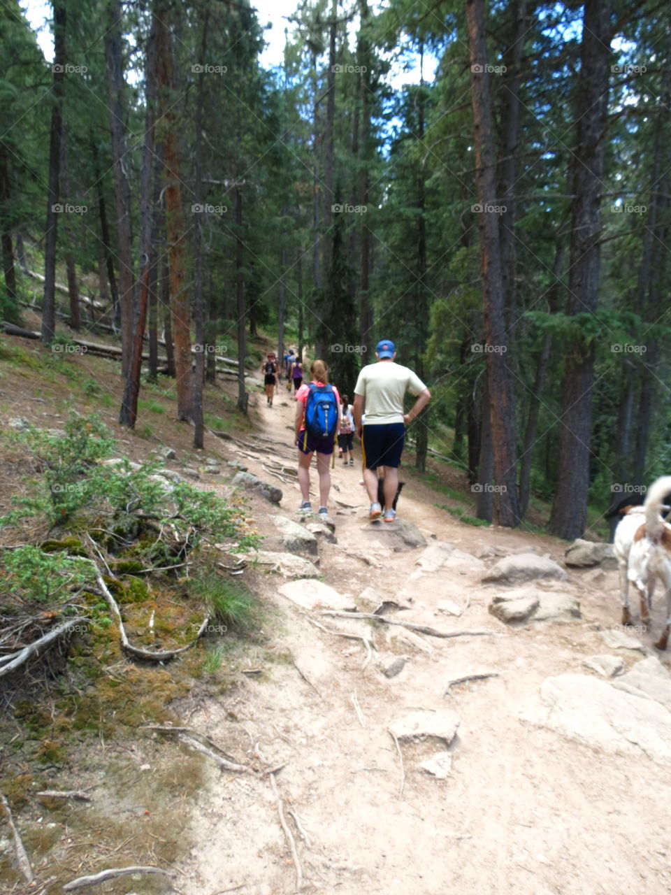 Hiking trail in Colorado.